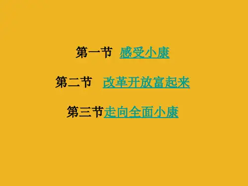 思想品德：第三单元《走进小康时代》复习课件-(湘师版八年级下)(2019年10月)