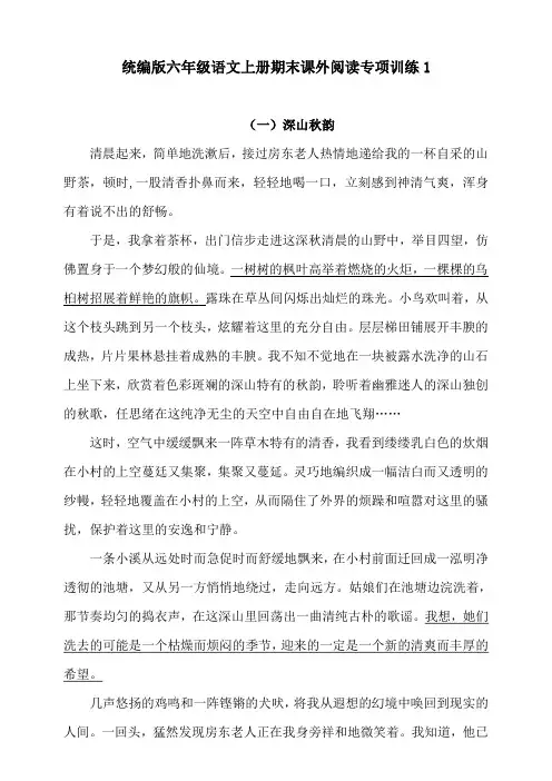 部编版小学六年级上册语文期末课外阅读专项训练试题含答案(全套)