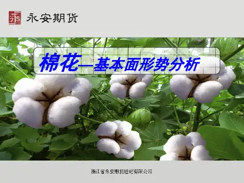 棉花-基本面形势分析