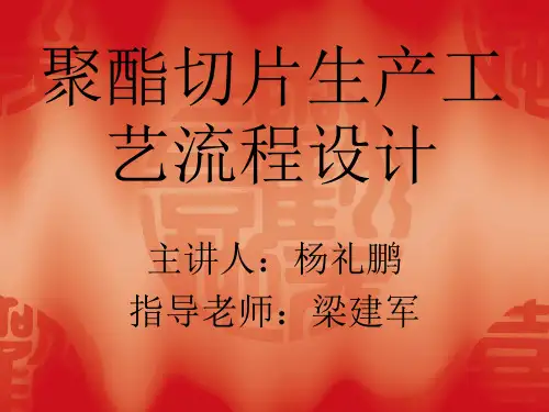 聚酯切片生产工艺.ppt