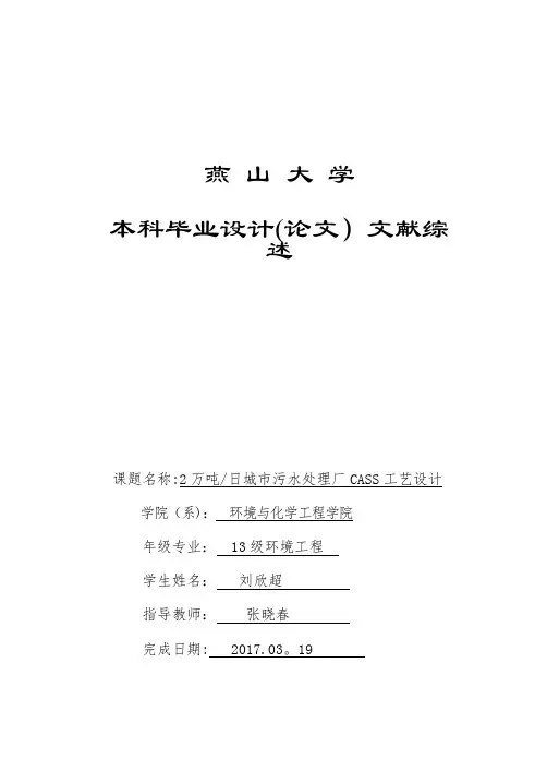 CASS工艺毕业设计文献综述