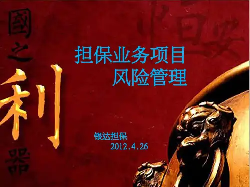 担保项目风险管理PPT