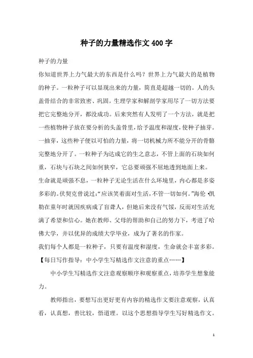 种子的力量精选作文400字