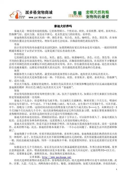 泰迪犬好养吗
