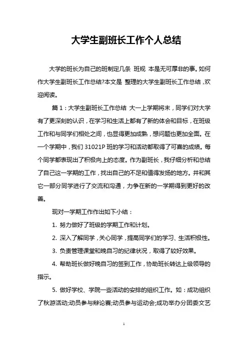 大学生副班长工作个人总结
