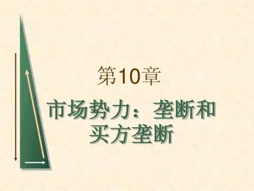 平狄克微观经济学第七版第10章课件