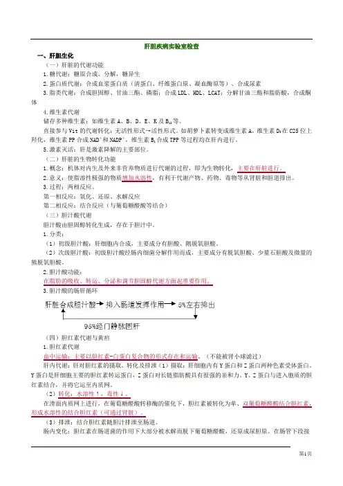 肝胆疾病实验室检查