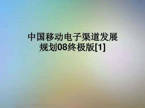 中国移动电子渠道发展规划08终极版[1]