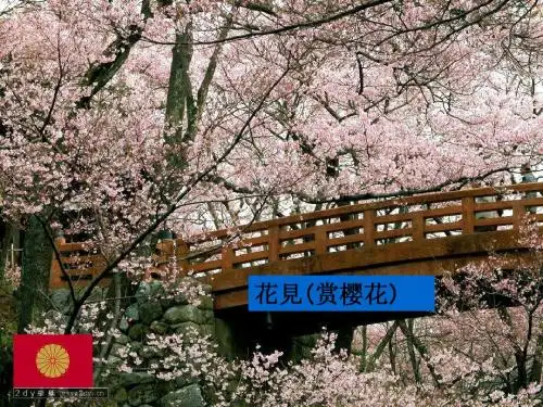 新编日语第一册_01(li)