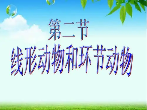 线形动物和环节动物使用