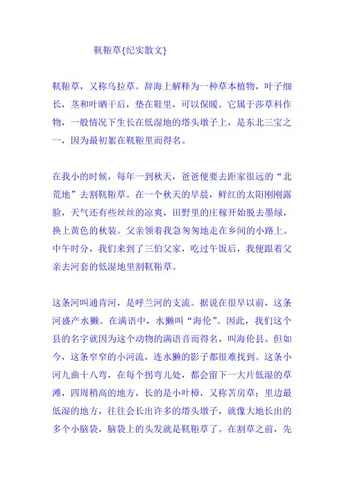 靰鞡草