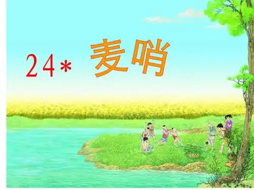 24、《麦哨》