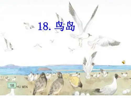 二年级下册语文课件-18鸟岛-苏教版