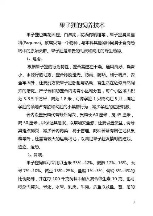 果子狸的饲养技术
