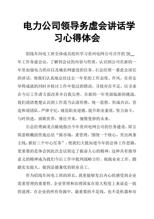 电力公司领导务虚会讲话学习心得体会