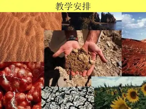 土壤学