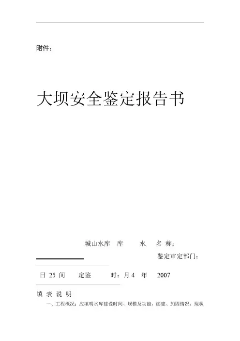 城山大坝安全鉴定报告书