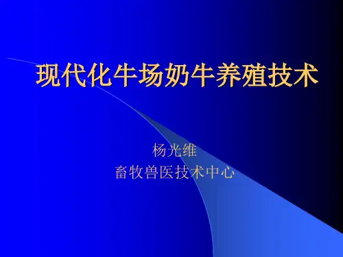 现代化奶牛场奶牛养殖技术