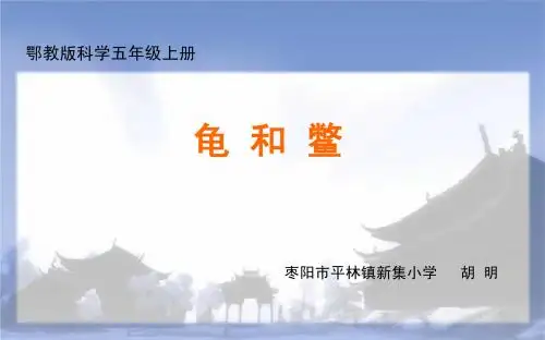 《龟和鳖》
