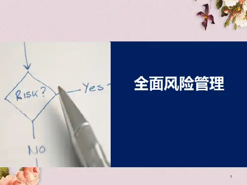 全面风险管理培训课件(PPT 72页)