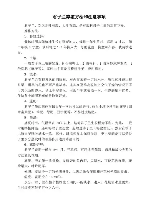 君子兰养殖方法和注意事项