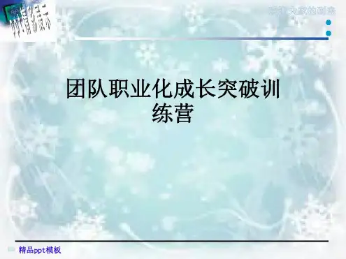 团队职业化成长突破训练营