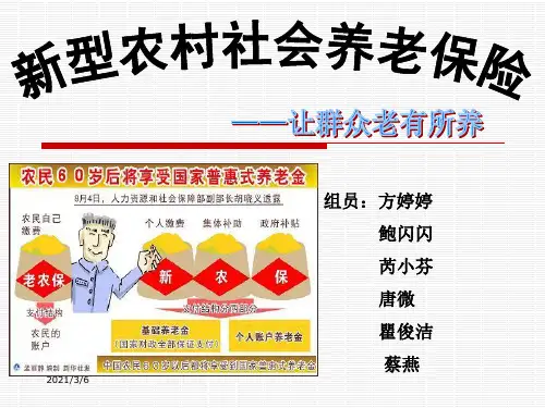 新型农村养老保险PPT课件