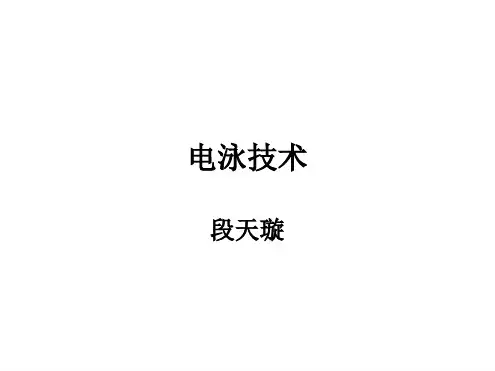 蛋白质电泳技术