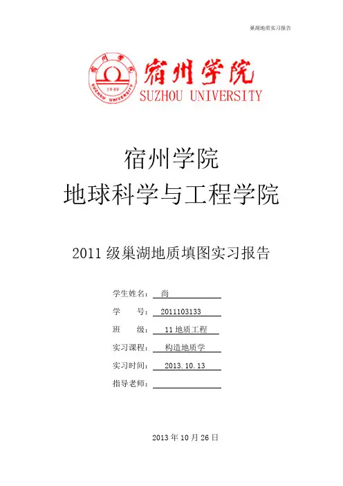 巢湖地质实习报告完整版
