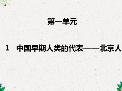 人教版七年级历史上第1课 中国早期人类的代表——北京人课件 