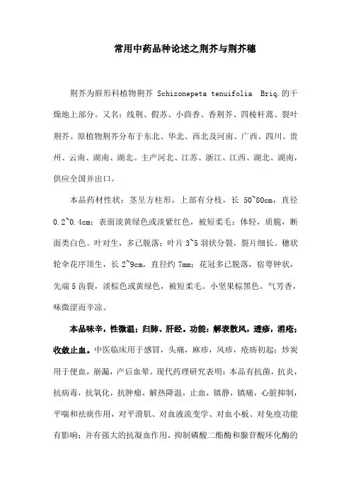 常用中药品种论述之荆芥与荆芥穗