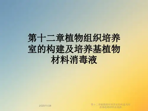 第十二章植物组织培养室的构建及培养基植物材料消毒液