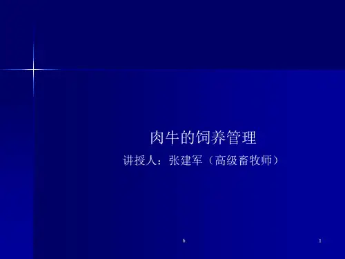 《肉牛的饲养管理》PPT课件