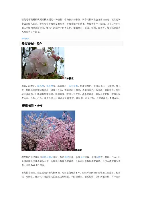 樱花[植物] - 简介