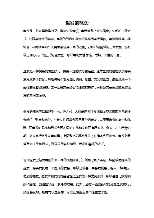 盘发的概念
