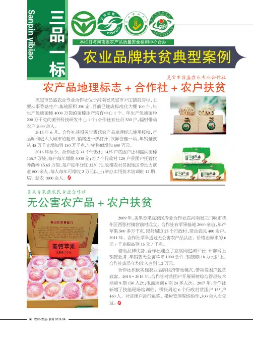 农业品牌扶贫典型案例