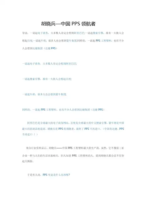 中国PPS领航者