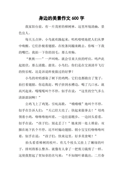 身边的美景作文600字
