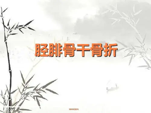 胫腓骨骨折123PPT课件