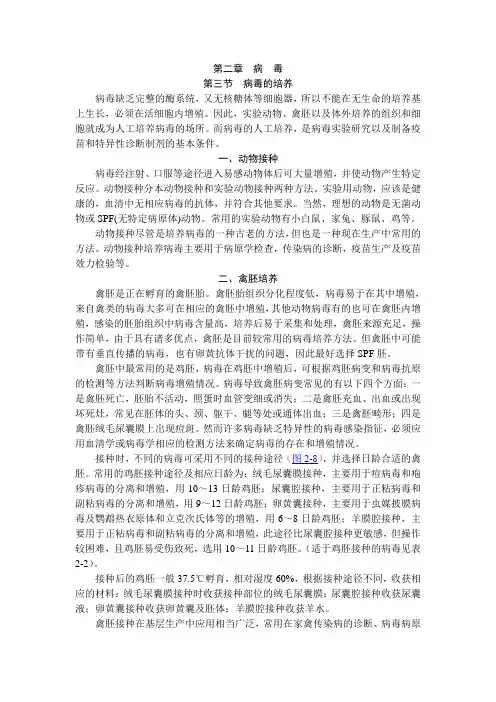 第三节 病毒培养