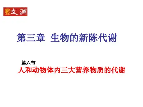 人和动物体内三大营养物质的代谢