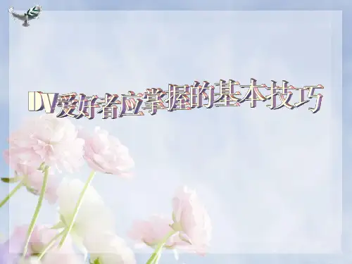 DV爱好者技巧