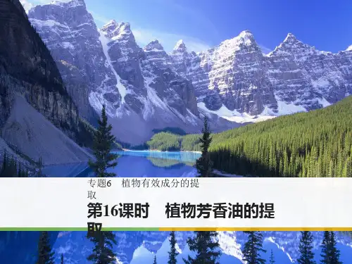 《步步高》2017-2018学年高二人教版生物选修一课件：6-1 植物芳香油的提取