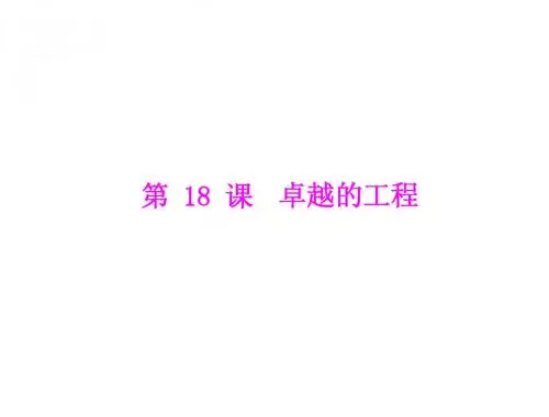 第18课  卓越的工程  随堂训练课件(川教版七年级上)