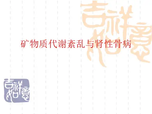 矿物质代谢紊乱与肾性骨病