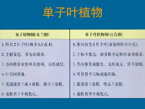 植物生物学第二部分第九章被子植物4