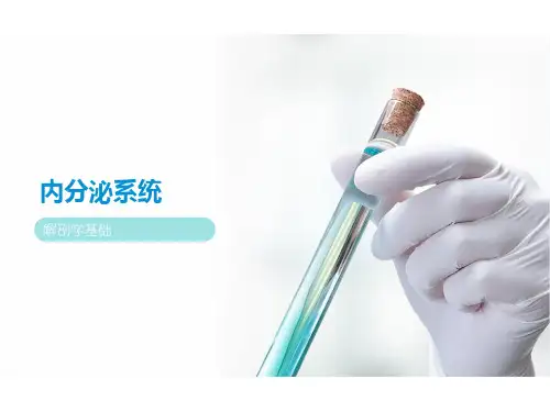 解剖学-第十章内分泌系统