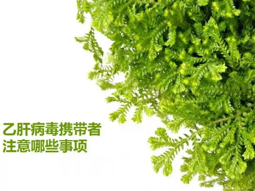 乙肝病毒携带者注意哪些事项