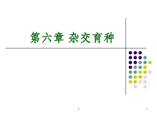 杂交育种