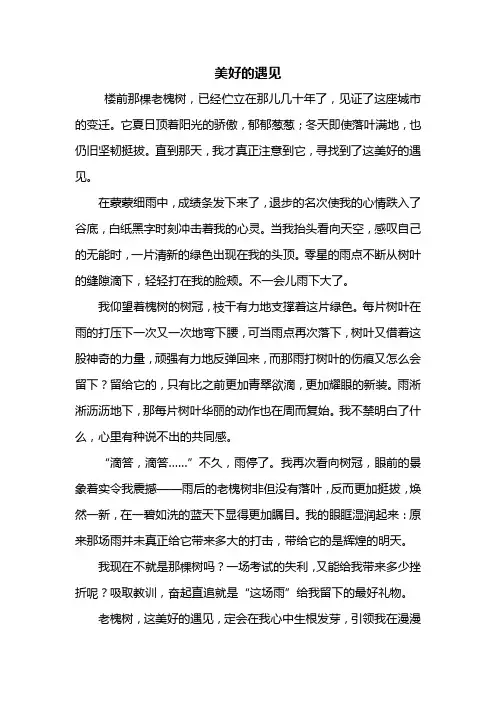 初一作文：美好的遇见作文记叙文600字